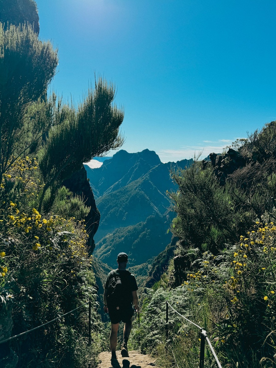 Hiker descending a steep mountain trail through endemic plants on the Pico do Arieiro to Pico Ruivo ridge, Madeira, Portugal