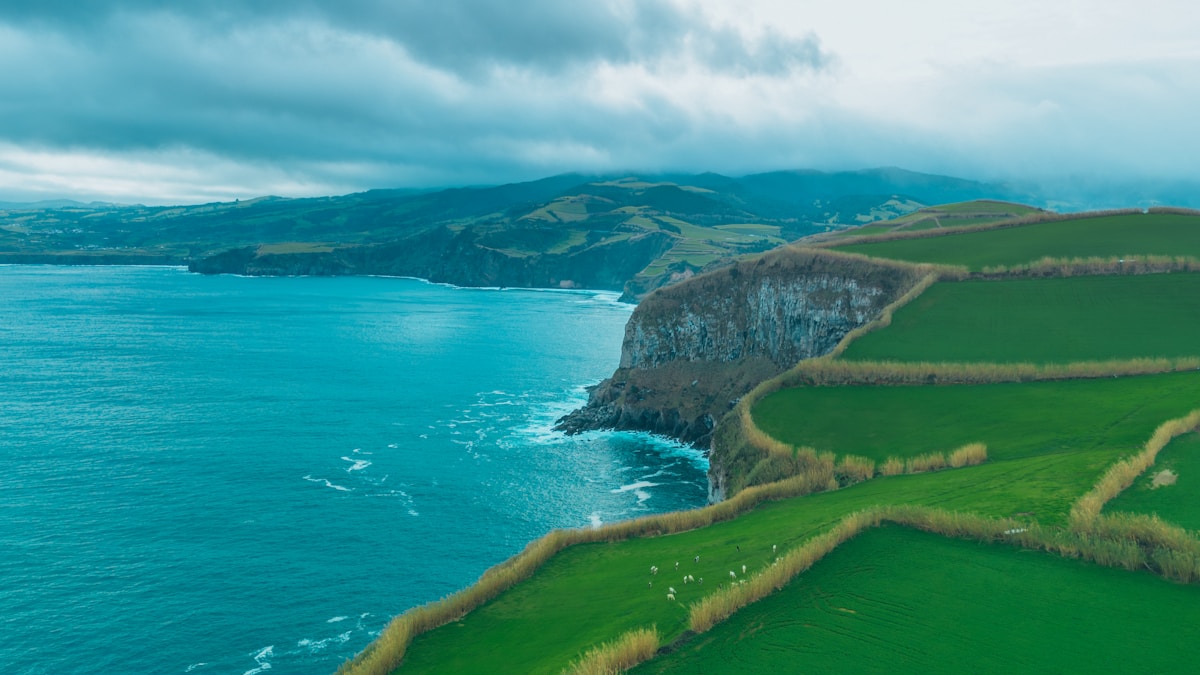 Aerial view of green coastal farmland and volcanic cliffs meeting the Atlantic Ocean, Azores, Portugal