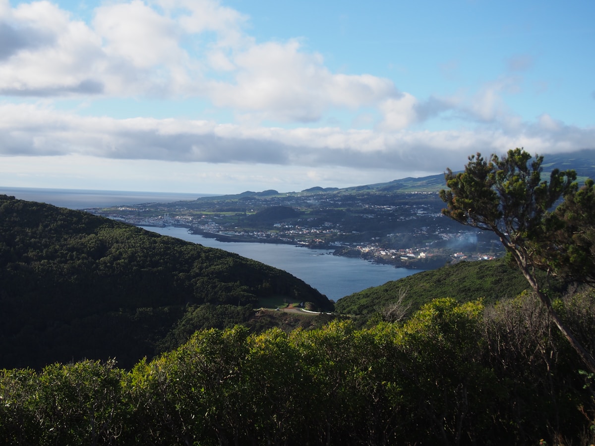 View over Angra do Heroísmo harbour from the green hillside of Monte Brasil, Terceira island, Azores, Portugal