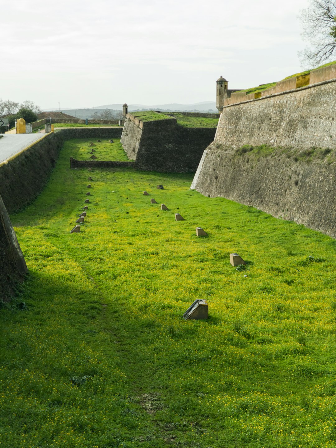 Elvas