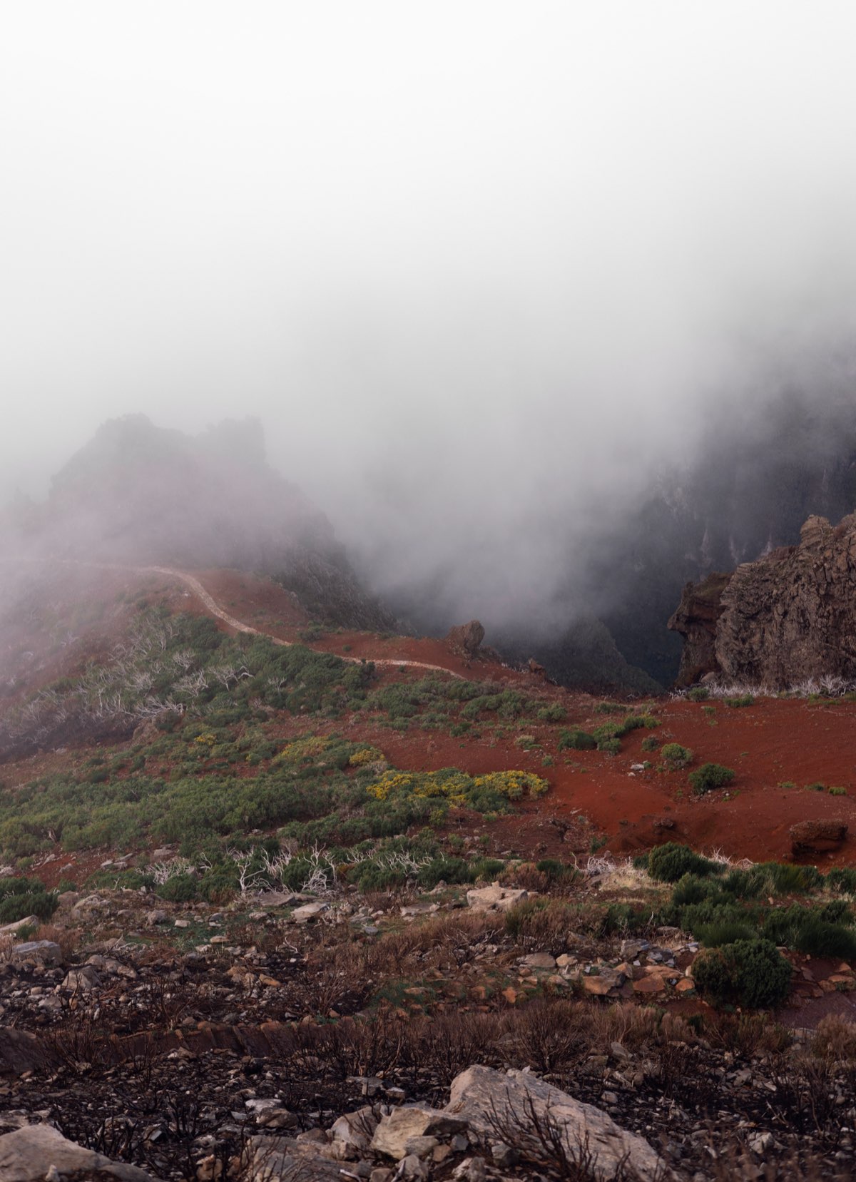 Misty volcanic mountain landscape with red soil hiking path in the clouds on Madeira island, Portugal