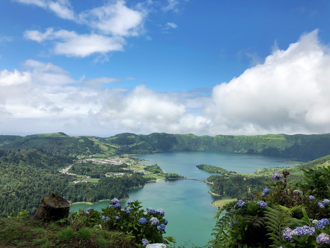 Sete Cidades twin crater lakes viewed from above with hydrangeas in the foreground, São Miguel, Azores