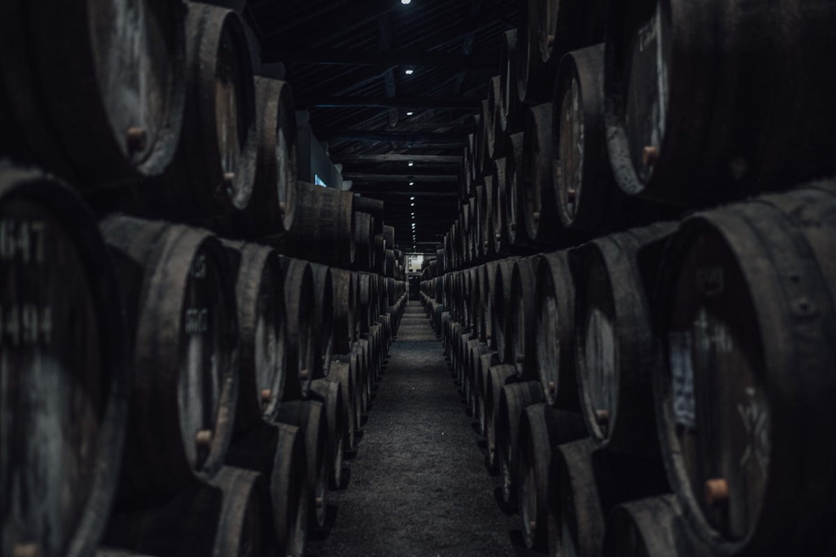Long rows of Port wine barrels receding into the darkness of a Douro Valley wine lodge cellar