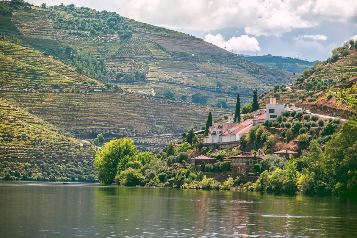 Douro Valley terraced vineyards descending steeply to the river, viewed from the water with a quinta visible among the vines