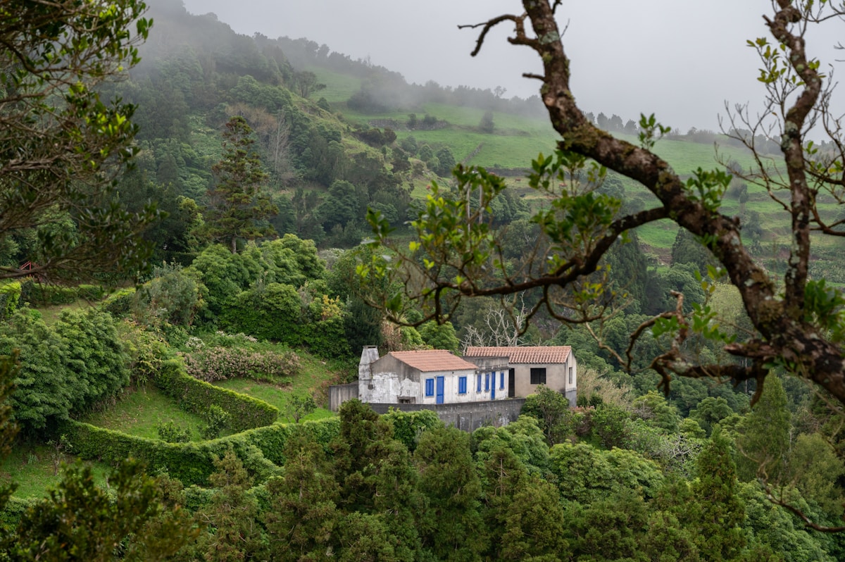 Traditional stone house surrounded by lush green forest and terraced hillsides, Flores island, Azores, Portugal