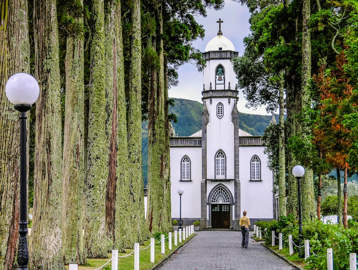 White Azorean church flanked by tall trees along a cobblestone path, Azores, Portugal