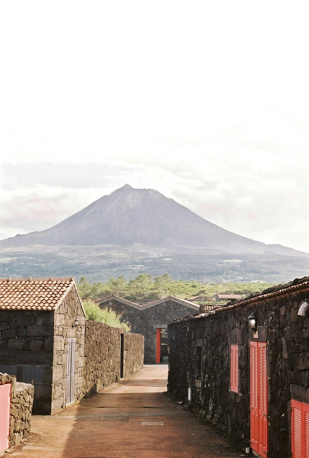 Traditional basalt wine cellars with Pico mountain's volcanic cone rising behind, Pico island, Azores, Portugal