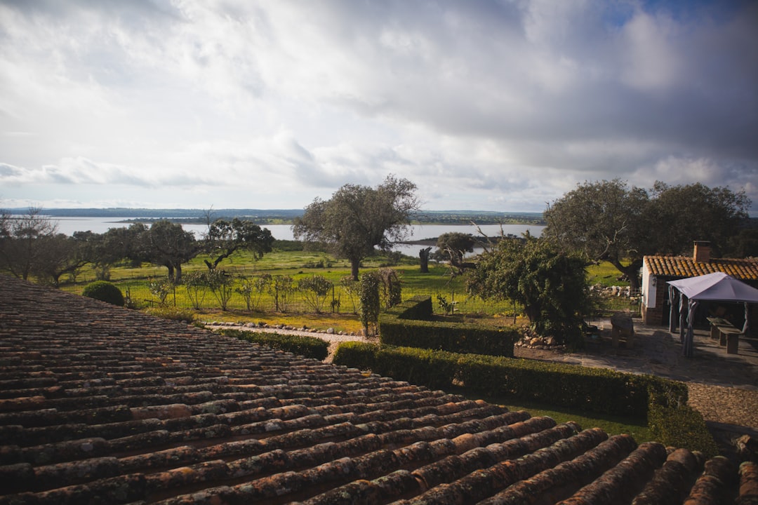 Terracotta rooftop of an Alentejo farmhouse overlooking green fields and the Alqueva reservoir stretching to the horizon