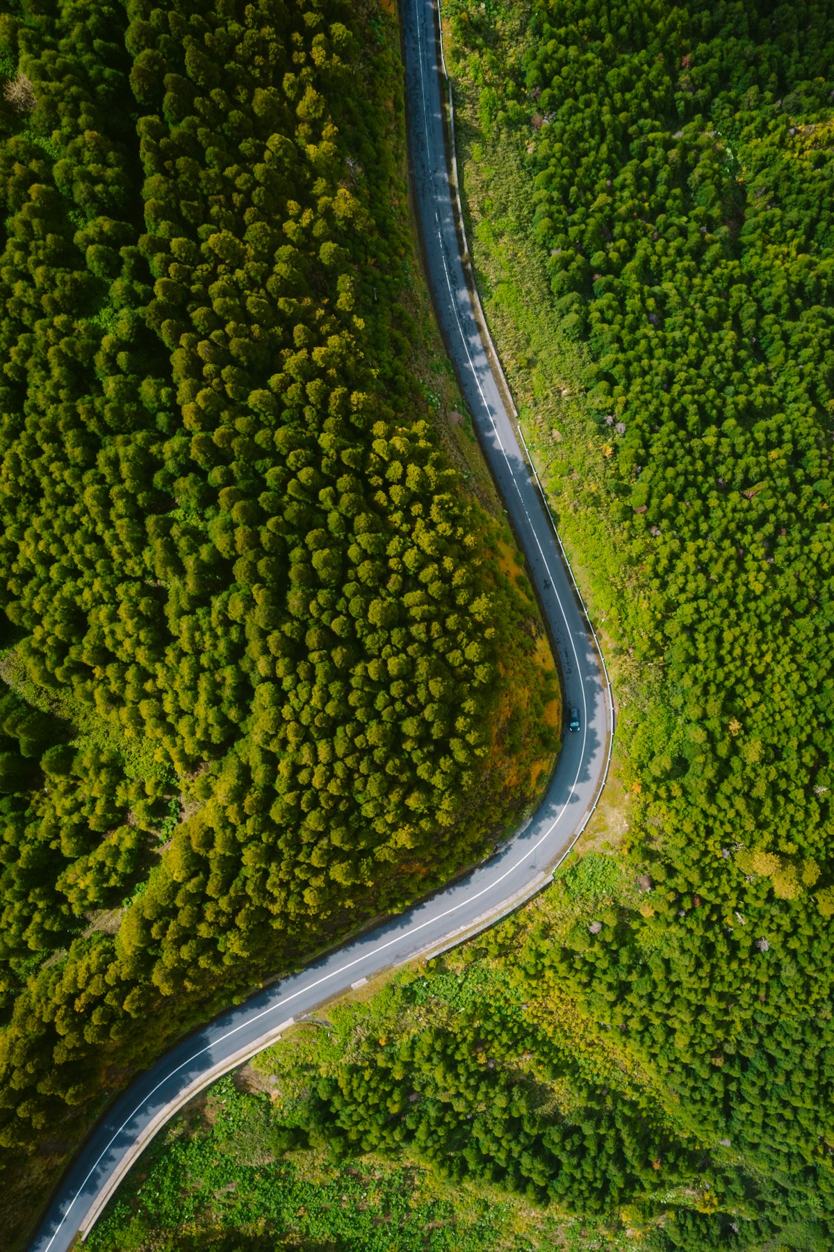 Winding coastal road in the Algarve, Portugal, with cliffs and turquoise sea — ideal for a road trip