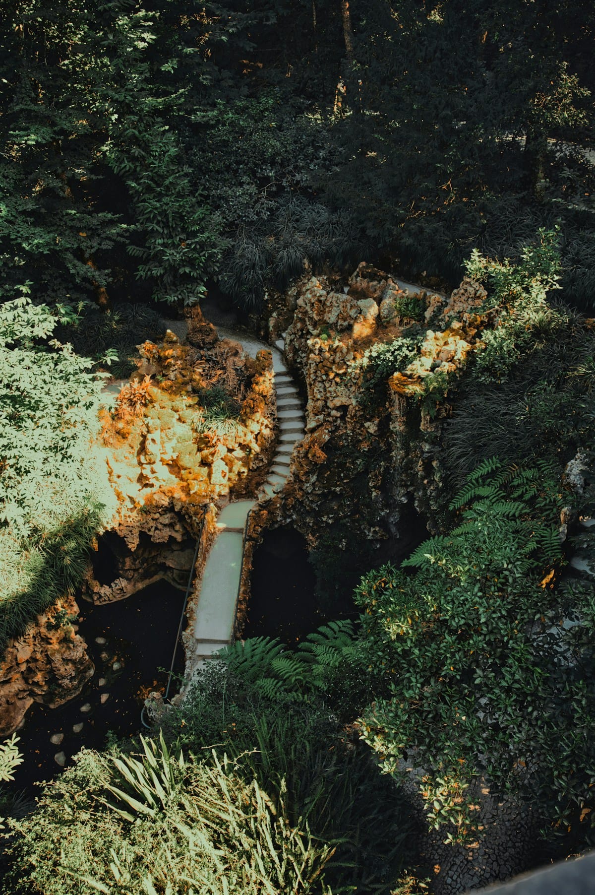 Stone steps descending through a moss-covered green ravine at Quinta da Regaleira, Sintra, Portugal