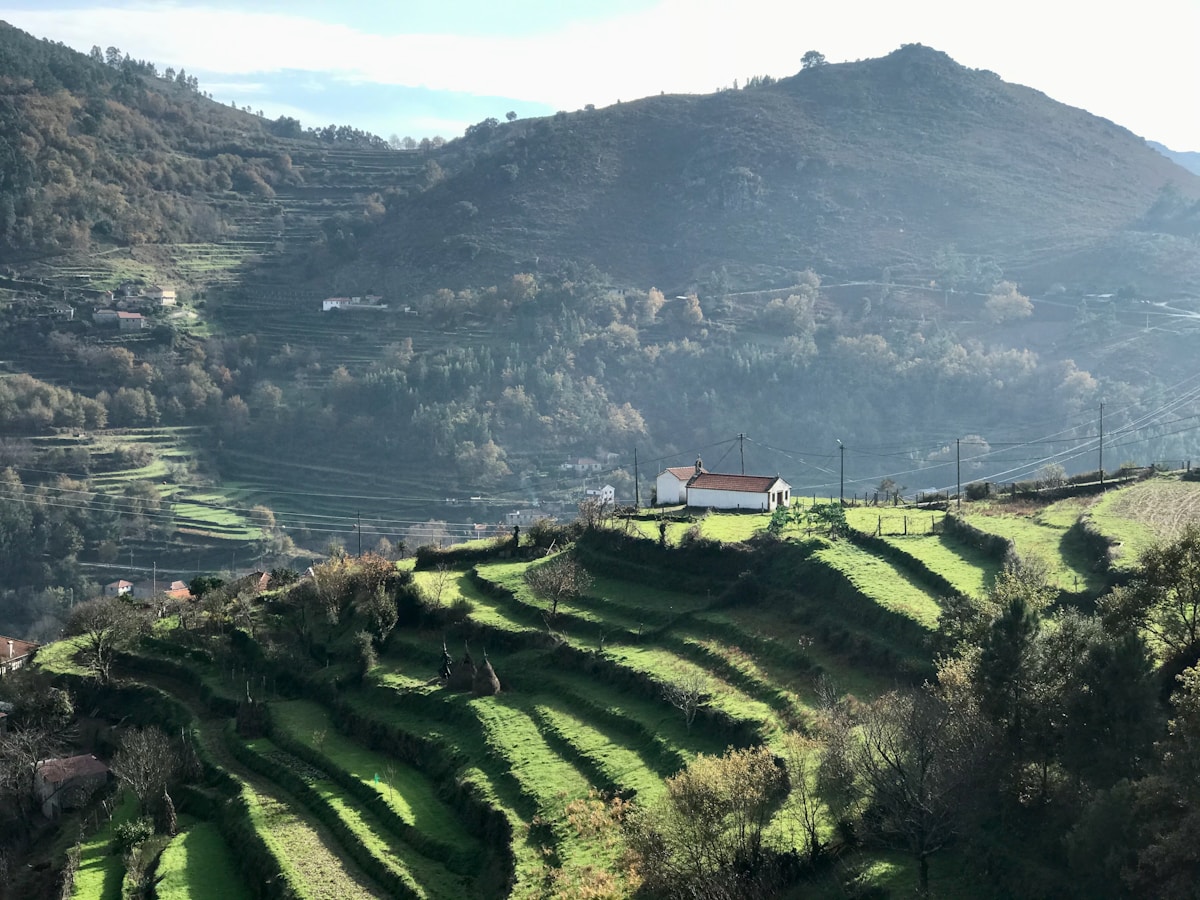 Green terraced hillsides with a granite chapel, Arcos de Valdevez, Minho region, northern Portugal