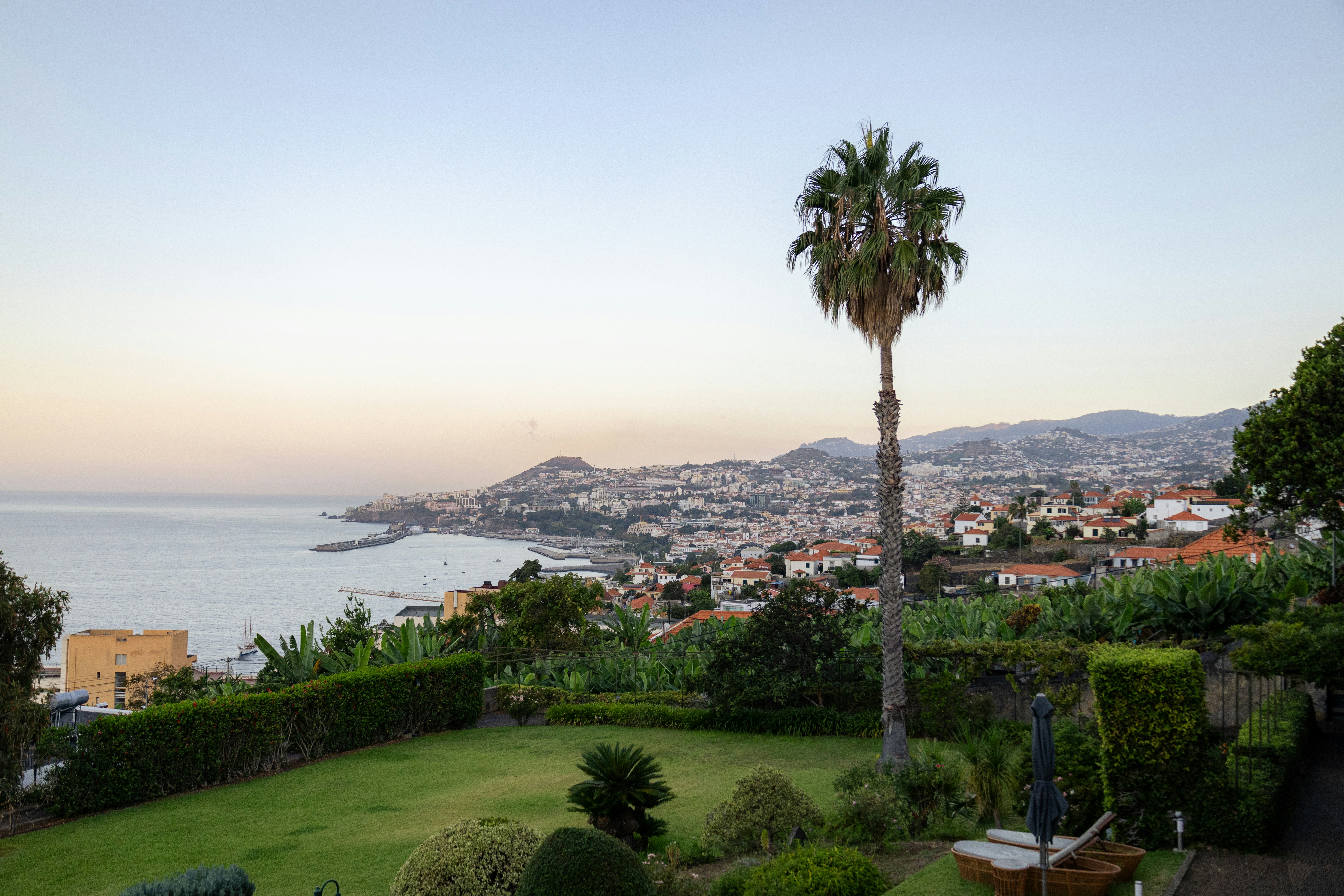 Panoramic view of Funchal city and bay at sunset from the hillside, Madeira, Portugal
