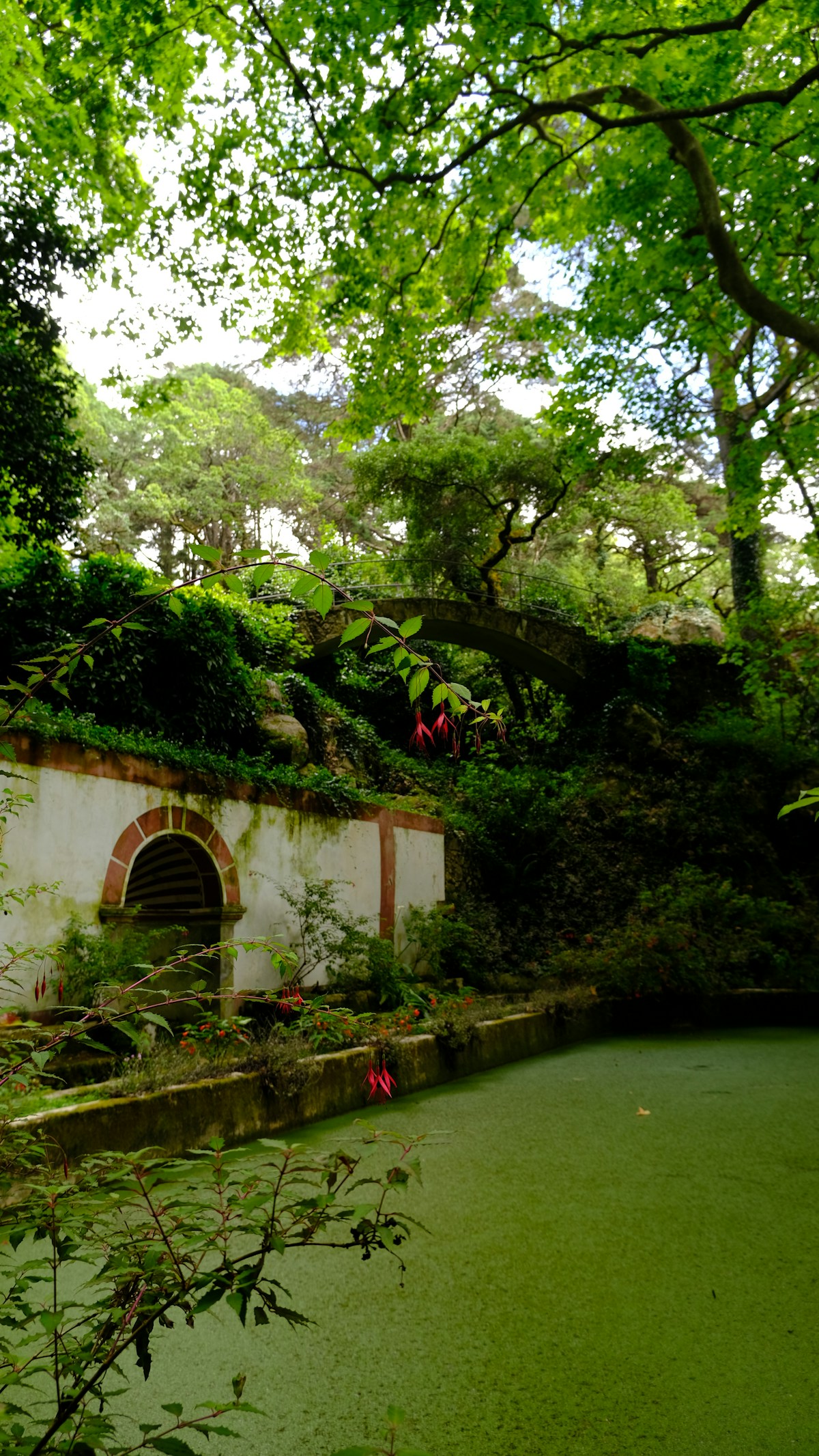 Mossy garden pond and stone archway surrounded by ancient trees in Sintra, Portugal